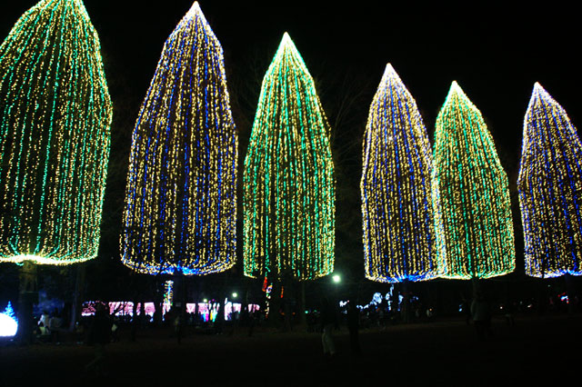 http://www.mccoy.jp/mt/blog/diary/up/20101224_1722.jpg