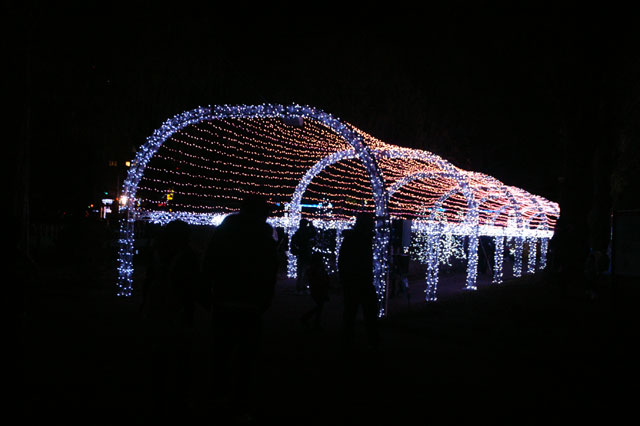 http://www.mccoy.jp/mt/blog/diary/up/20101224_1726.jpg