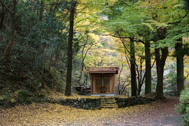 蓬莱山の紅葉 きまま日記