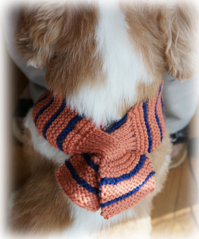 ガーター編みのマフラー 犬用 手編み勉強室