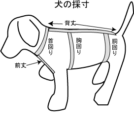 犬のセーターを編もう 手編み勉強室