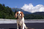 野麦峠
